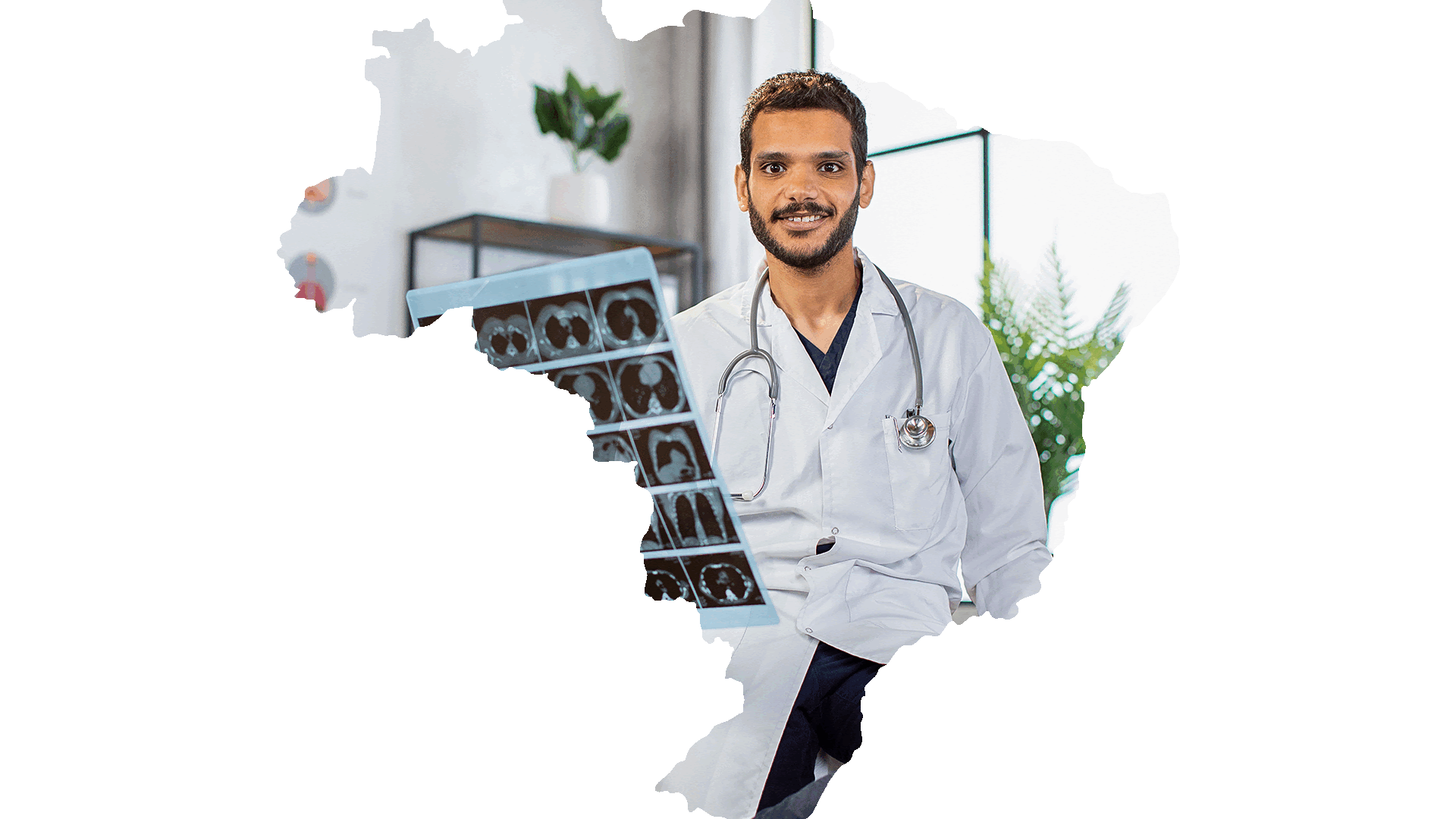 Mapa Brasil Diversidade - Profissões